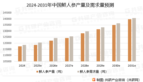2024-2031年中国鲜人参产量及需求量预测