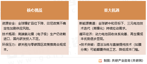 氯化镍挑战与机遇