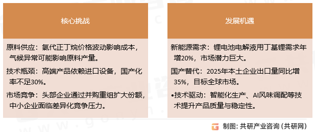 丁基锂核心挑战及发展机遇