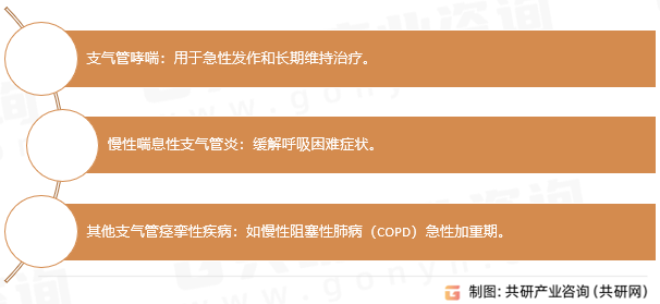 多索茶碱适应症