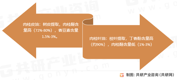 肉桂油分类