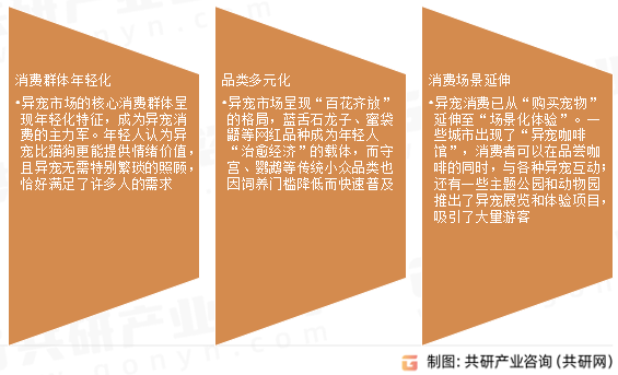 异宠市场发展趋势