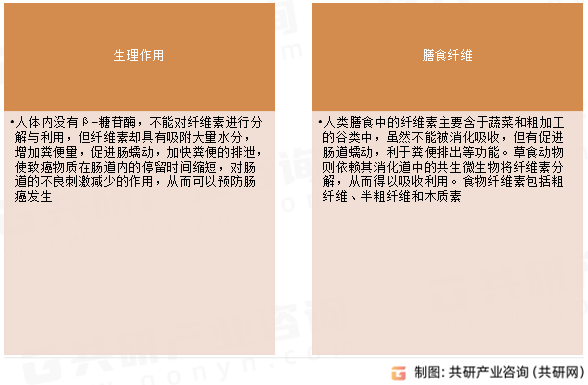 纤维素主要作用