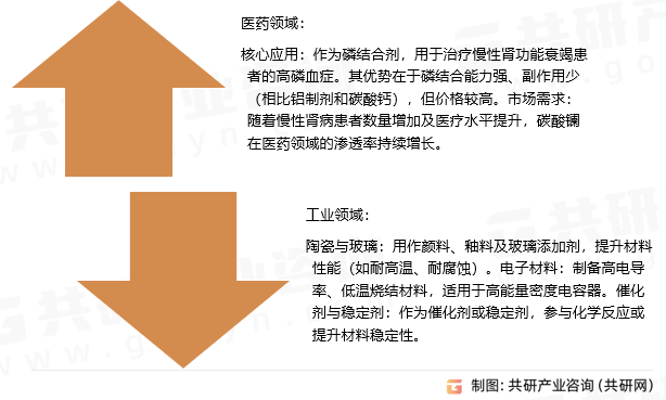 碳酸镧应用领域