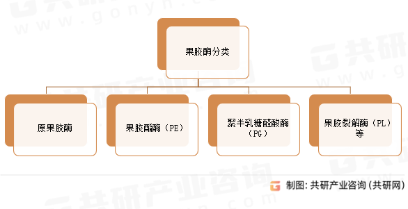 果胶酶分类