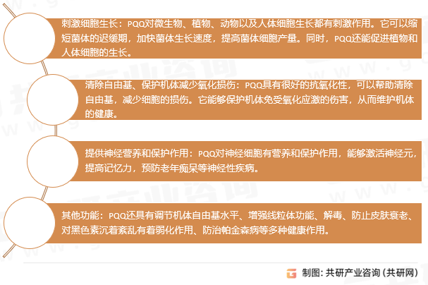 吡咯喹啉醌功能