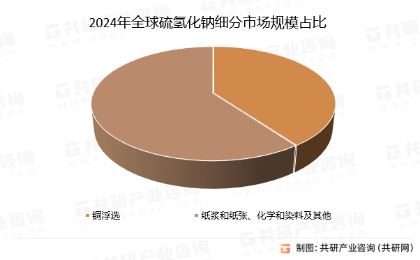 2024年全球硫氢化钠细分市场规模占比