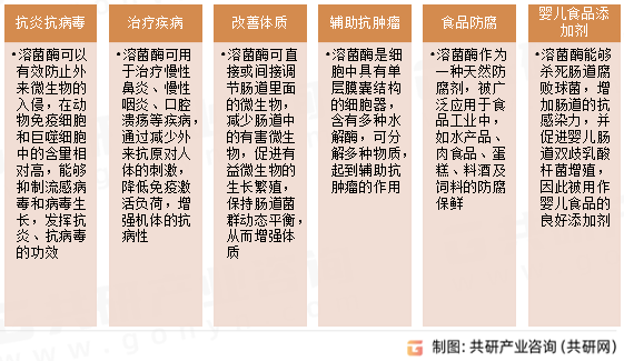 溶菌酶生理功能