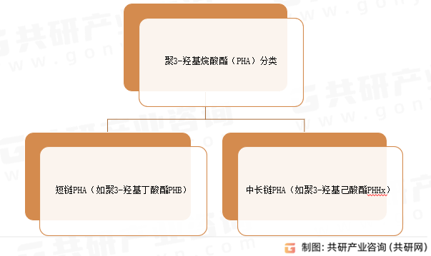 聚3-羟基烷酸酯（PHA）分类