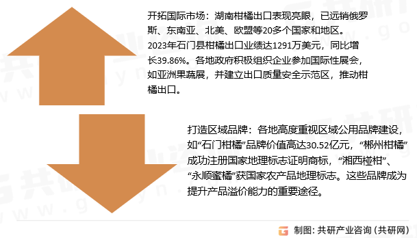 湖南省柑橘行业发展趋势