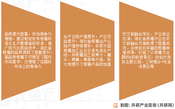 湖北省柑橘产业发展前景