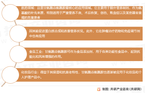 甘氨酰谷氨酰胺应用领域 
