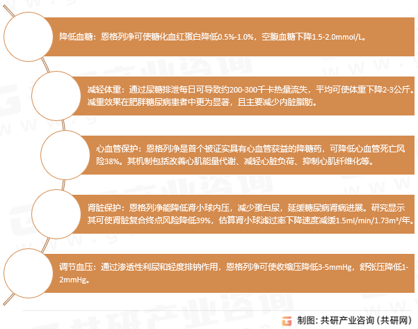 恩格列净主要功效