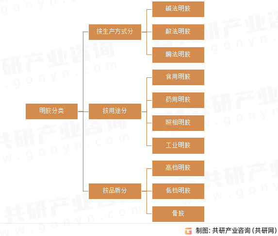 明胶分类