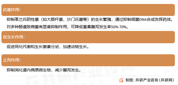 喹烯酮药理作用
