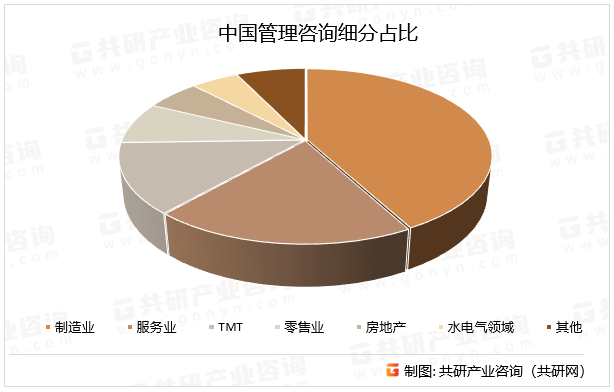 中国管理咨询细分占比