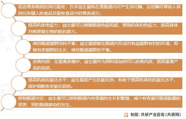 益生菌功能与作用