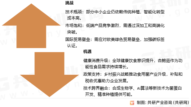 未来挑战与机遇