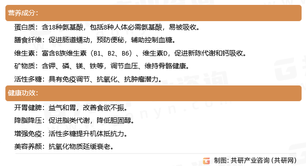 杏鲍菇营养价值与功效
