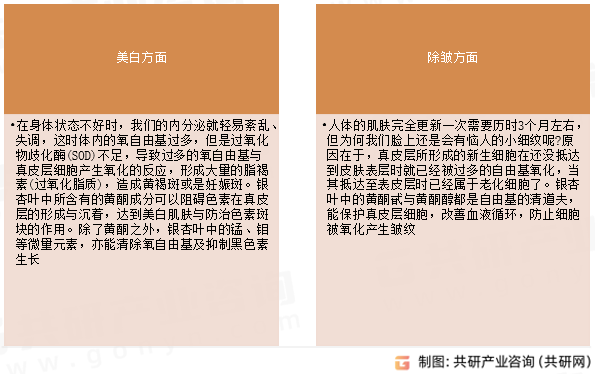银杏提取物主要作用