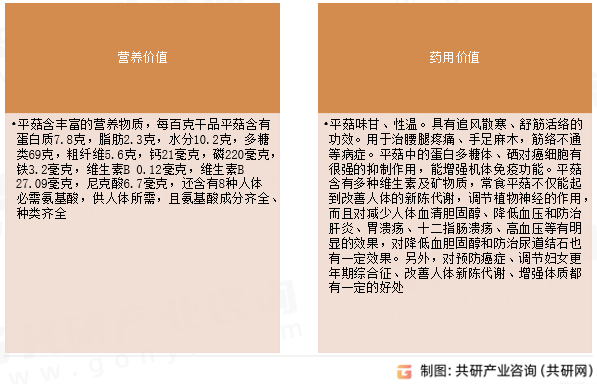 平菇主要价值