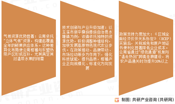 云南省柑橘产业发展前景