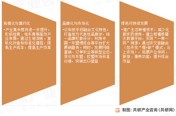 广西柑橘未来发展趋势