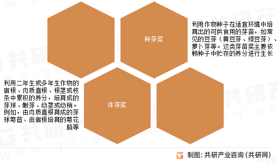 芽苗菜分类