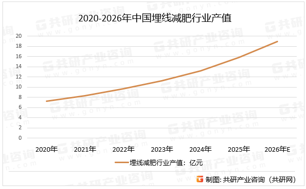 2020-2026年中国埋线减肥行业产值