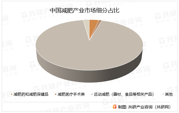 中国减肥产业市场细分占比