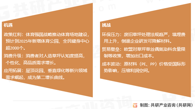 运动草坪挑战与机遇