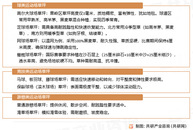 运动草坪类型