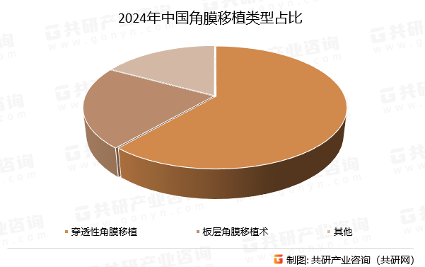 2024年中国角膜移植类型占比