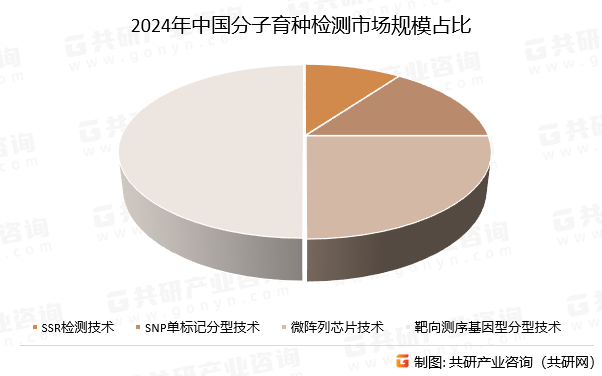 2024年中国分子育种检测市场规模占比