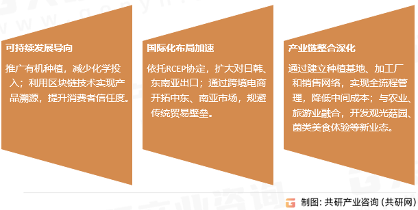 双孢菇市场发展趋势