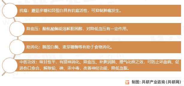 双孢菇药用功效