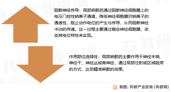 局部麻醉药作用