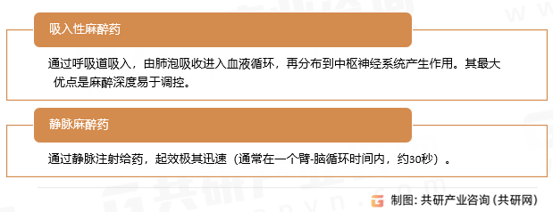 全身麻醉药分类