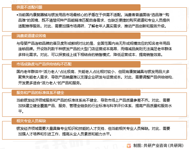 银发经济挑战与对策