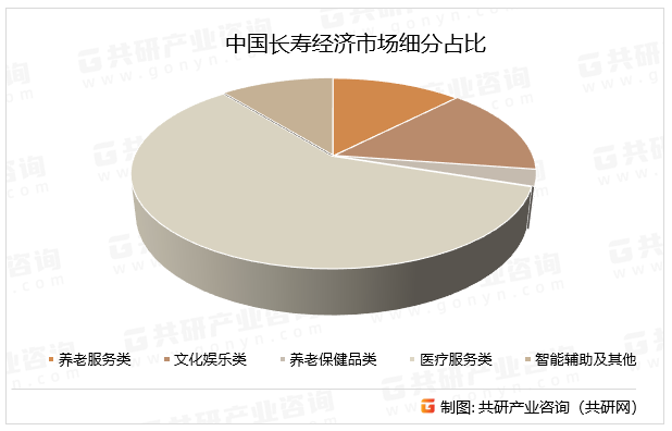 中国长寿经济市场细分占比