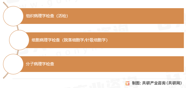 病理检查的核心类型