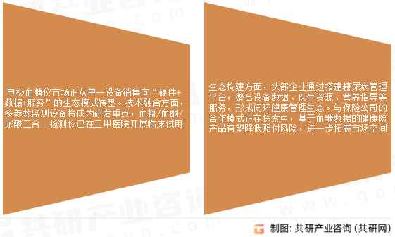 电极血糖仪未来展望