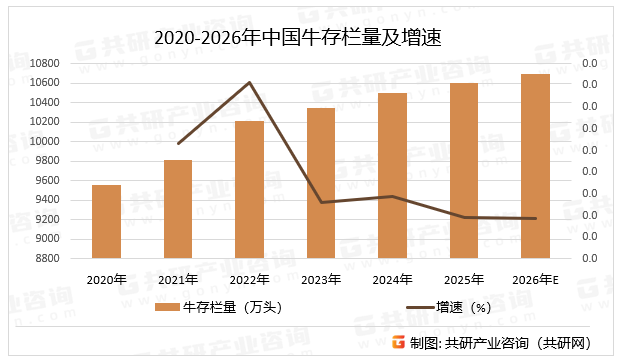 散户牛存栏占比从2020年的58%降至2025年的44%，退出速度快于规模化补栏速度，导致总存栏下滑。规模化养殖场通过土地流转、资源整合等方式扩大规模，但尚未完全填补散户退出后的产能缺口，预计2026年中国牛存栏量同比增长0.9%。2020-2026年中国牛存栏量及增速