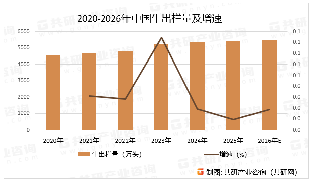 2020-2026年中国牛出栏量及增速