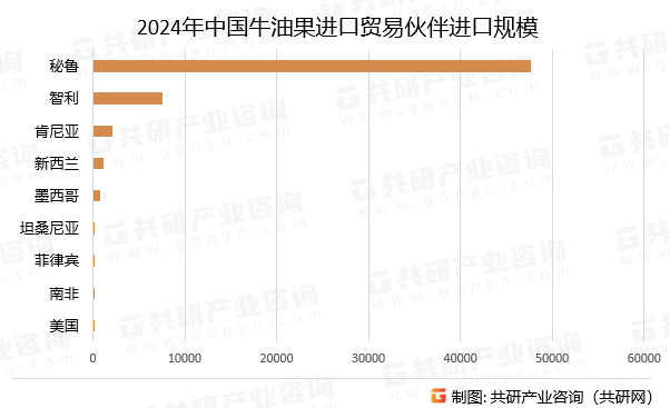 2024年中国牛油果进口贸易伙伴进口规模