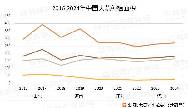 2016-2024年中国大蒜种植面积