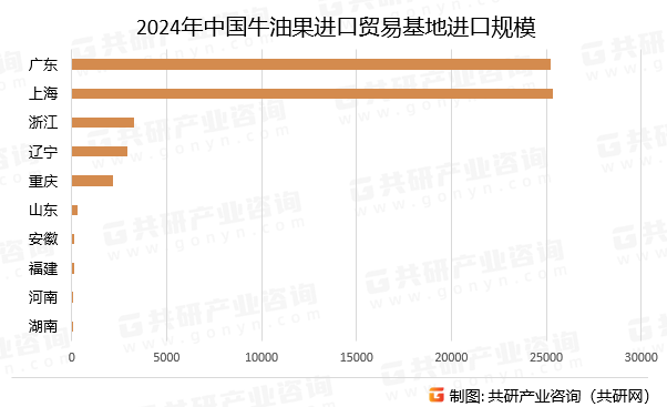 2024年中国牛油果进口贸易基地进口规模