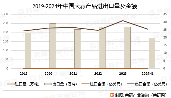 2019-2024年中国大蒜产品进出口量及金额