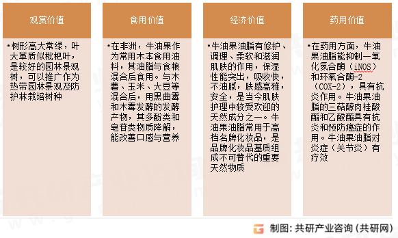 牛油果主要价值