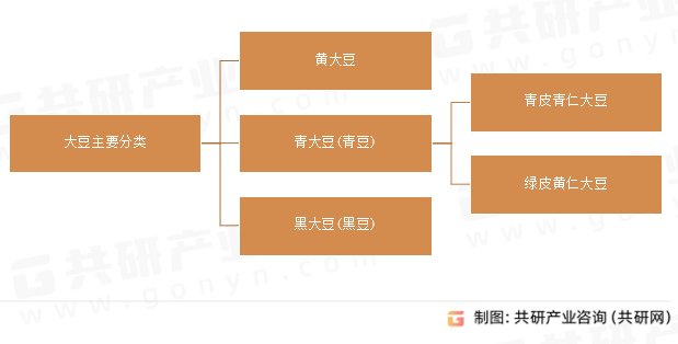 大豆主要分类
